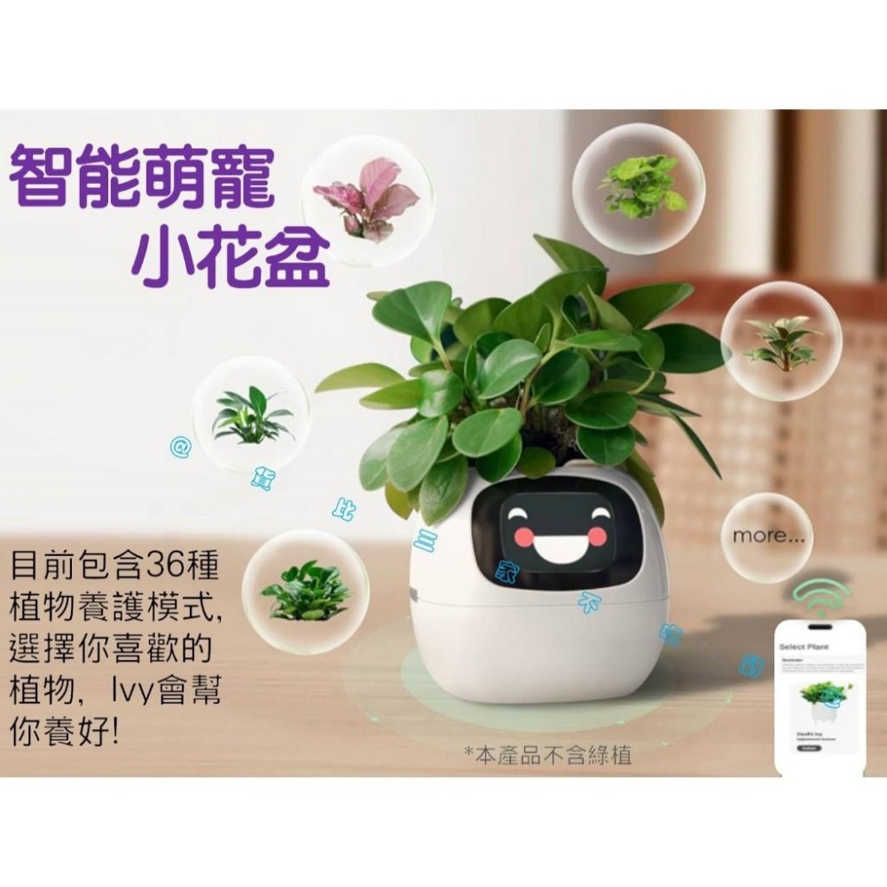 @貨比三家不吃虧@IVY智能萌寵小花盆 味天氣時鐘盆栽擺件 新奇禮物 創意 花器 客廳 懶人花盆 免澆水盆栽 窗臺園-細節圖6