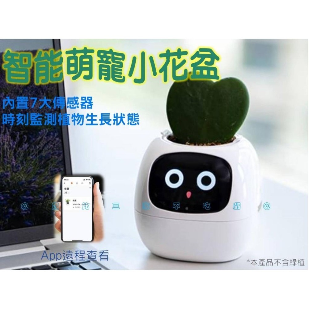 @貨比三家不吃虧@IVY智能萌寵小花盆 味天氣時鐘盆栽擺件 新奇禮物 創意 花器 客廳 懶人花盆 免澆水盆栽 窗臺園-細節圖8