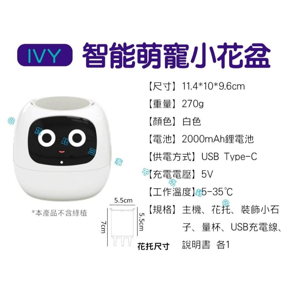 @貨比三家不吃虧@IVY智能萌寵小花盆 味天氣時鐘盆栽擺件 新奇禮物 創意 花器 客廳 懶人花盆 免澆水盆栽 窗臺園-細節圖9