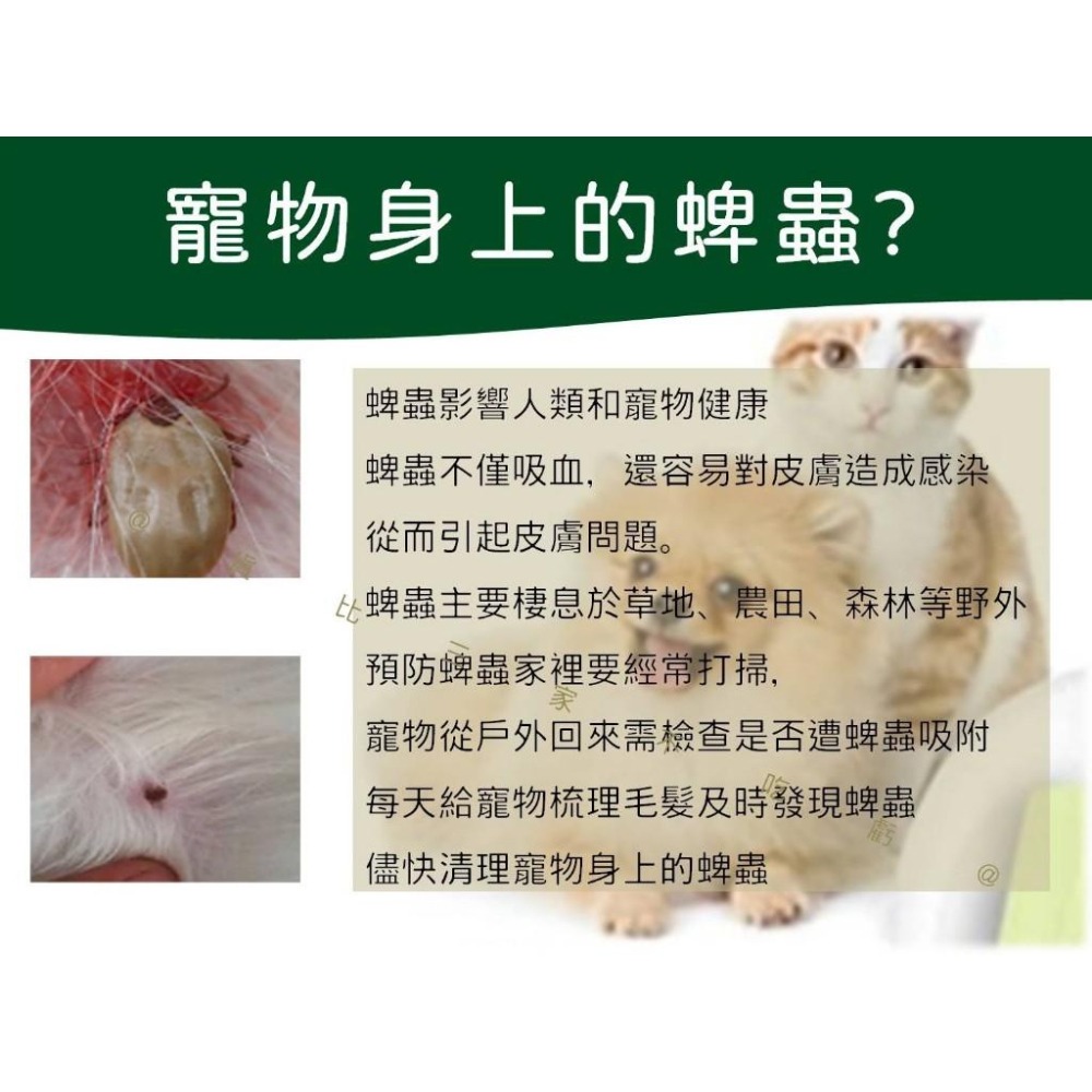 @貨比三家不吃虧@寵物捉蟲筆 拔取器 寵物除蟲工具 貓狗寵物人通用 硬蜱拔取器 寵物驅蟲夾 物理驅蟲 除蜱 輕巧 抓蝨子-細節圖2