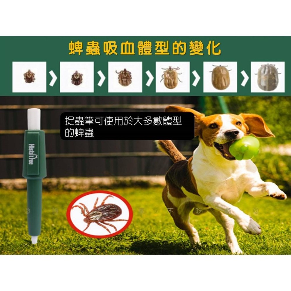 @貨比三家不吃虧@寵物捉蟲筆 拔取器 寵物除蟲工具 貓狗寵物人通用 硬蜱拔取器 寵物驅蟲夾 物理驅蟲 除蜱 輕巧 抓蝨子-細節圖3