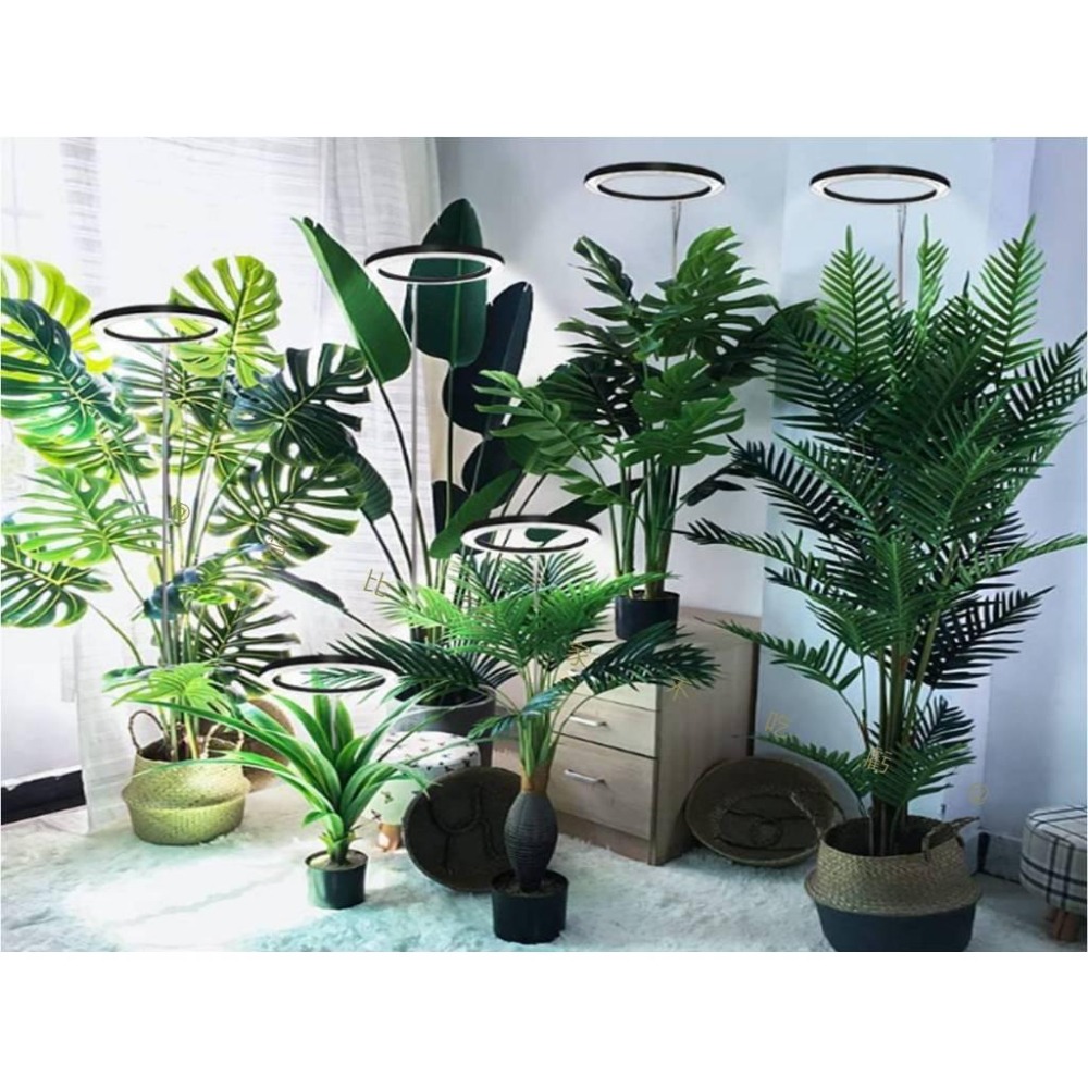 @貨比三家不吃虧@天使環植物燈 LED植物燈 生長燈 盆栽燈 伸縮款植物燈 水草燈 花盆 植物補光燈 植物燈管 觀葉植物-細節圖6