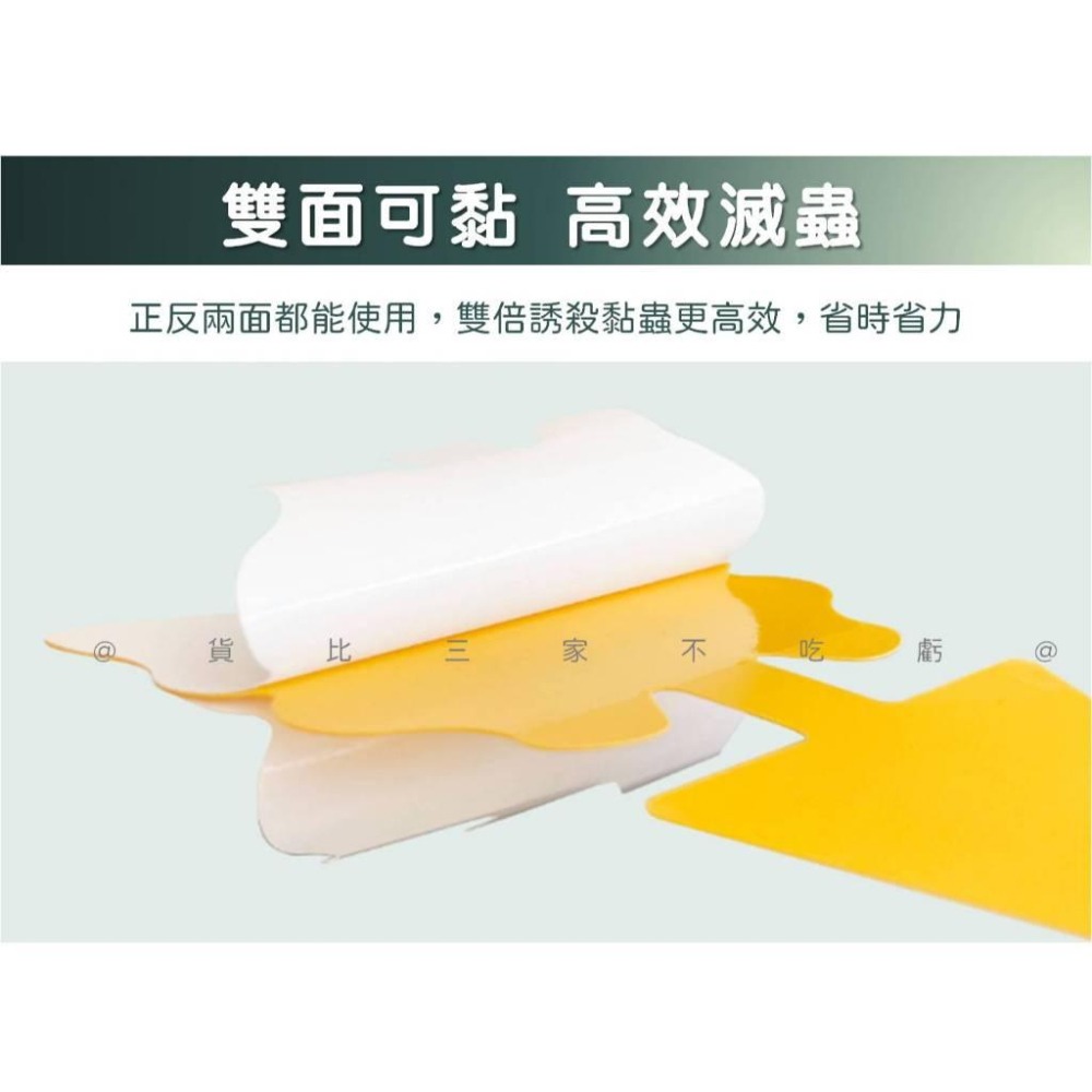 @貨比三家不吃虧@蝴蝶黏蟲板 雙面厚款黏蟲板 粘蟲紙 雙面黏 黃色黏蟲紙 果蠅 有機黏蟲板 蚊蟲剋星 園藝 果蠅黏蟲板-細節圖3