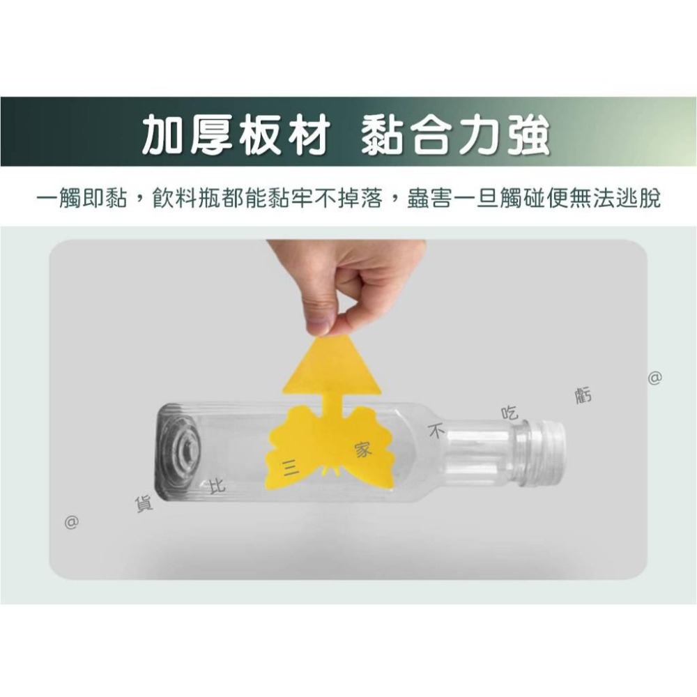 @貨比三家不吃虧@蝴蝶黏蟲板 雙面厚款黏蟲板 粘蟲紙 雙面黏 黃色黏蟲紙 果蠅 有機黏蟲板 蚊蟲剋星 園藝 果蠅黏蟲板-細節圖5