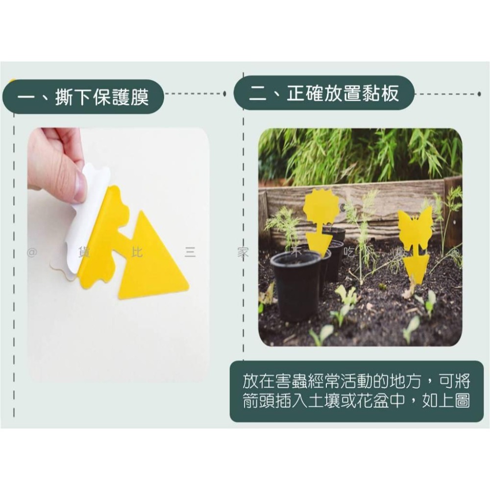 @貨比三家不吃虧@蝴蝶黏蟲板 雙面厚款黏蟲板 粘蟲紙 雙面黏 黃色黏蟲紙 果蠅 有機黏蟲板 蚊蟲剋星 園藝 果蠅黏蟲板-細節圖7