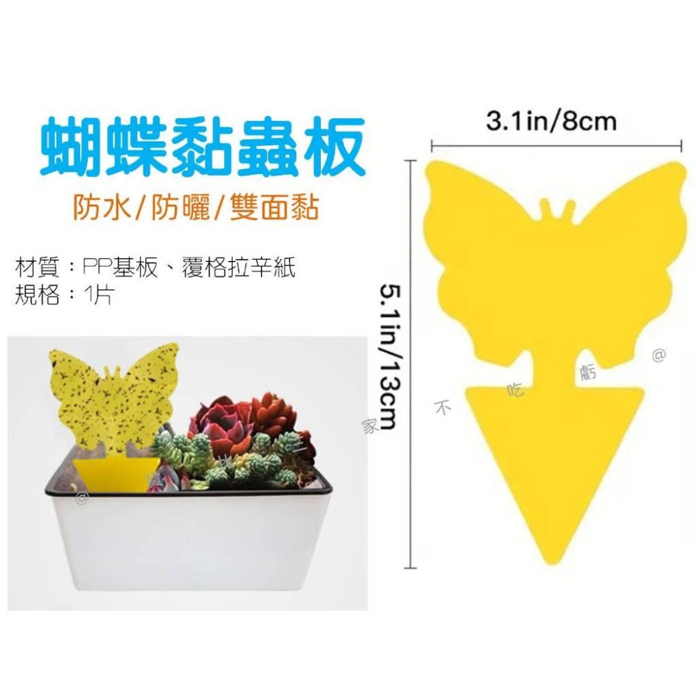 @貨比三家不吃虧@蝴蝶黏蟲板 雙面厚款黏蟲板 粘蟲紙 雙面黏 黃色黏蟲紙 果蠅 有機黏蟲板 蚊蟲剋星 園藝 果蠅黏蟲板-細節圖9