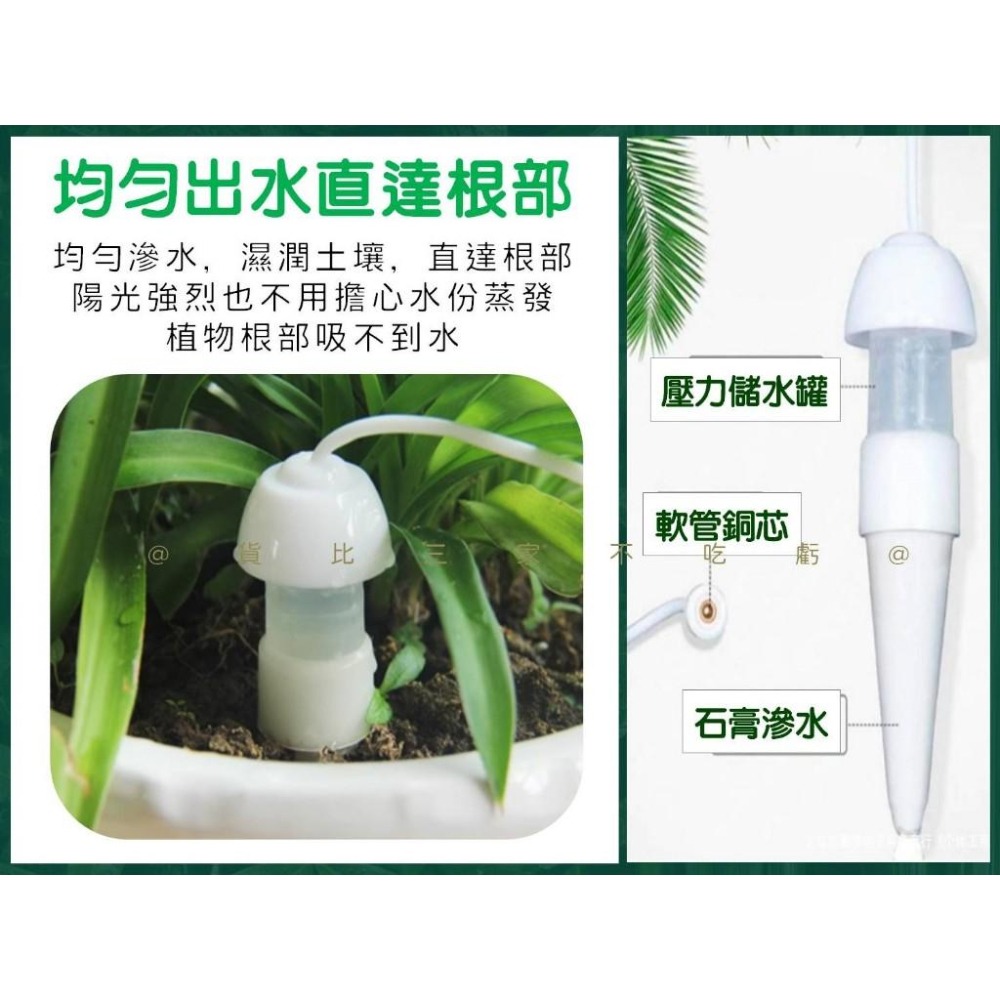 @貨比三家不吃虧@陶瓷自動澆花器 澆水神器 假期出差 自動澆花器 均勻滲水 園藝澆水器 澆花器具 日式滲水器 免用電-細節圖4