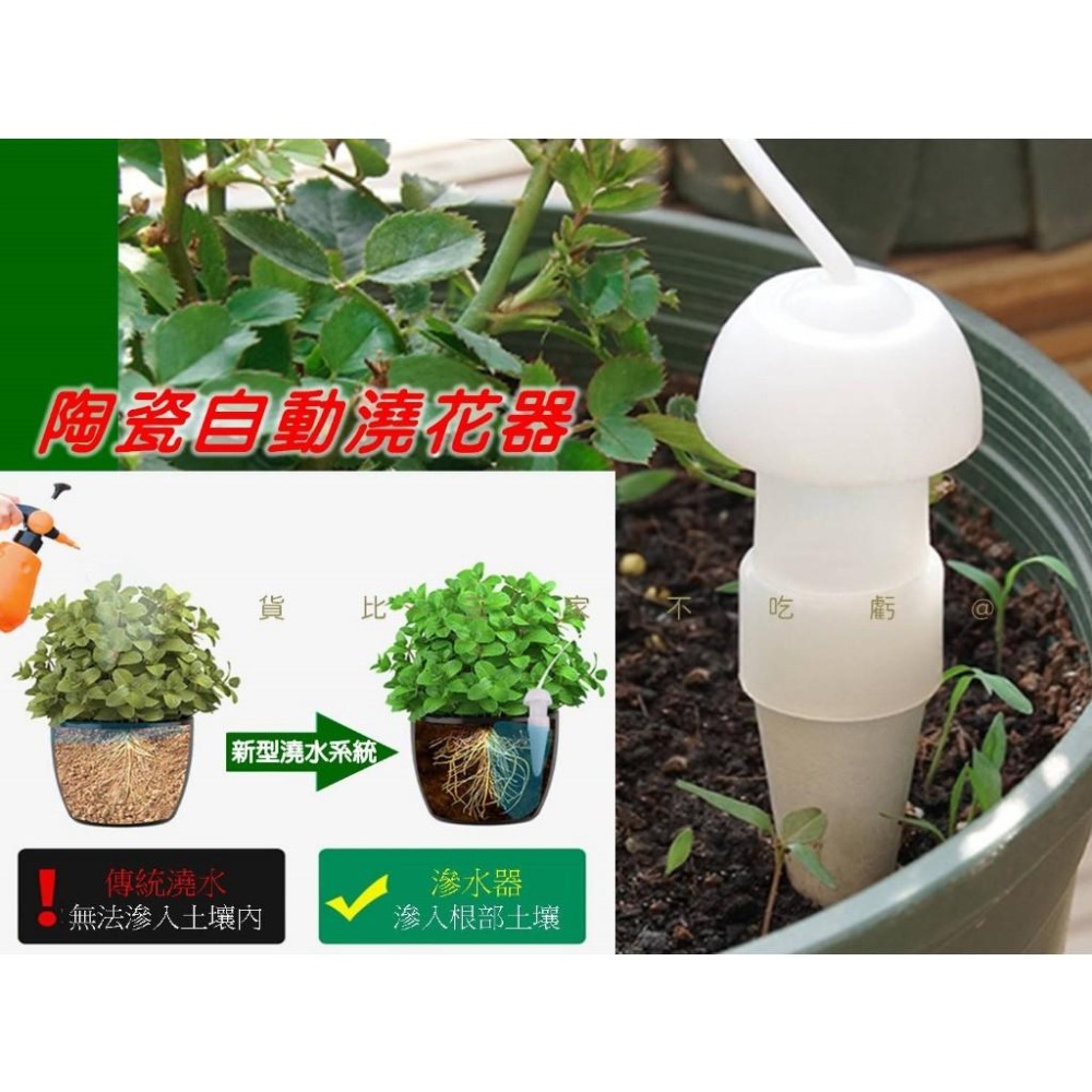 @貨比三家不吃虧@陶瓷自動澆花器 澆水神器 假期出差 自動澆花器 均勻滲水 園藝澆水器 澆花器具 日式滲水器 免用電-細節圖5