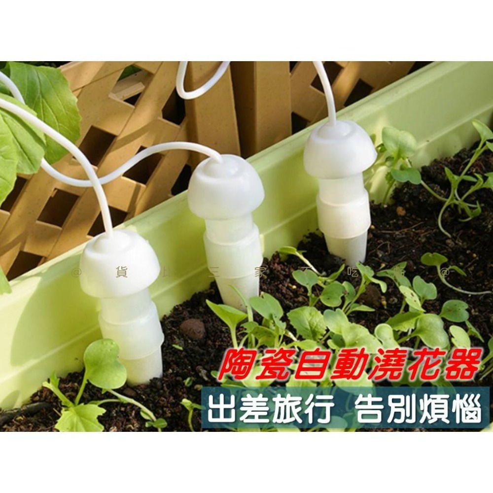 @貨比三家不吃虧@陶瓷自動澆花器 澆水神器 假期出差 自動澆花器 均勻滲水 園藝澆水器 澆花器具 日式滲水器 免用電-細節圖7