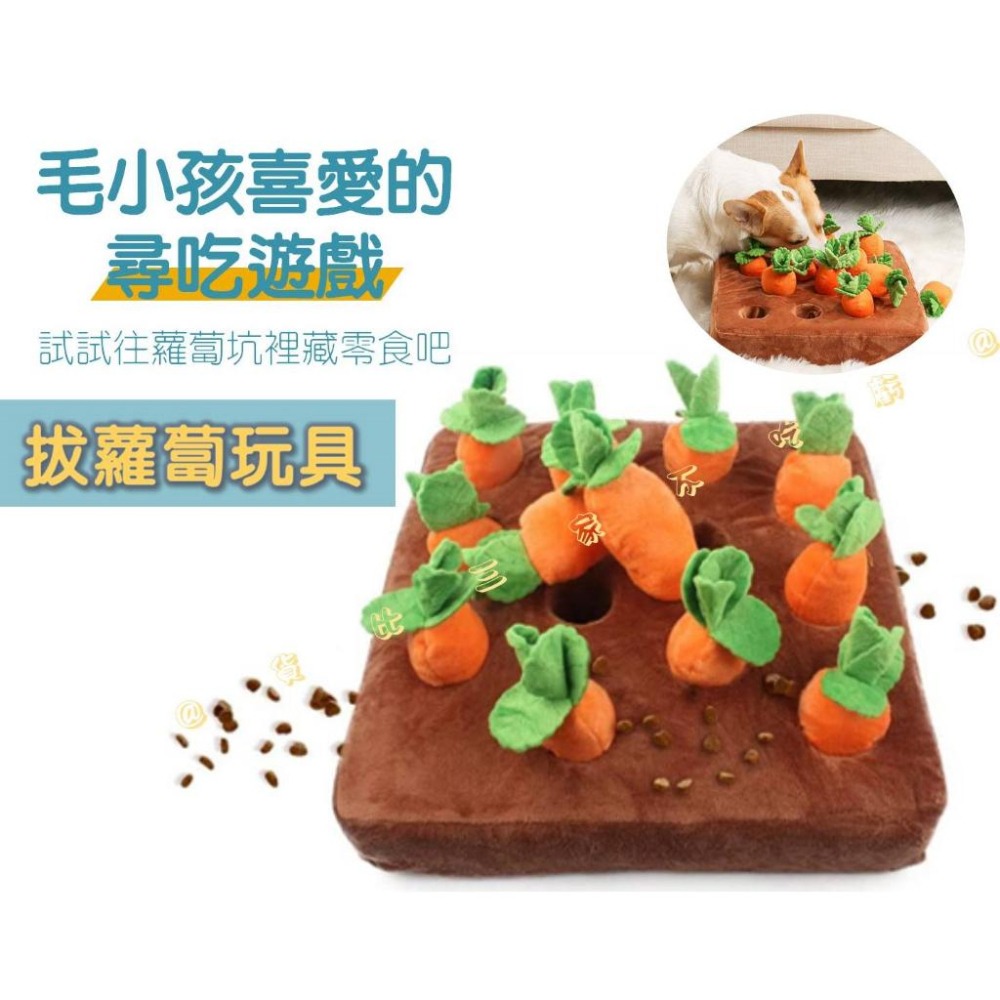 @貨比三家不吃虧@拔蘿蔔玩具 拔蘿蔔寵物玩具 寵物玩具 菜園扮家 胡蘿蔔玩具 寵物嗅聞 貓狗玩具 兒童玩具 益智早教-細節圖2