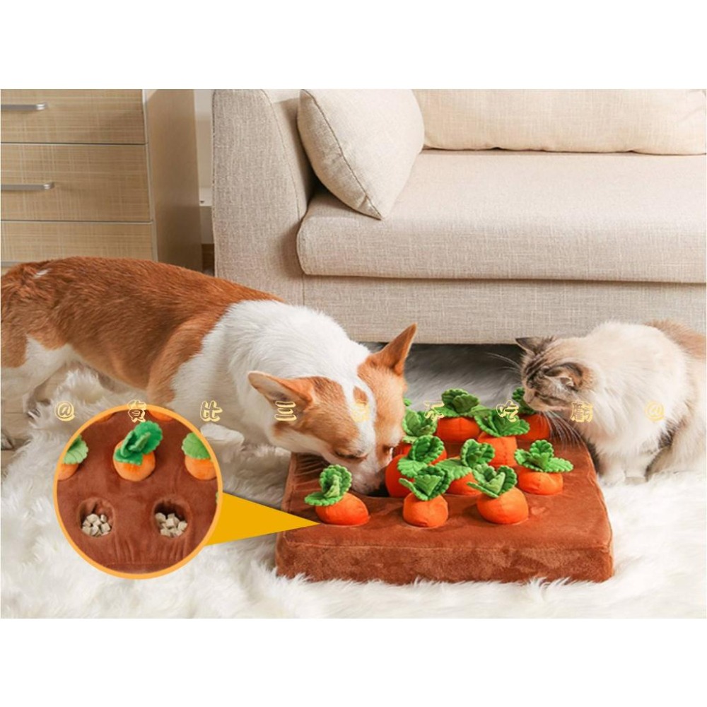 @貨比三家不吃虧@拔蘿蔔玩具 拔蘿蔔寵物玩具 寵物玩具 菜園扮家 胡蘿蔔玩具 寵物嗅聞 貓狗玩具 兒童玩具 益智早教-細節圖3