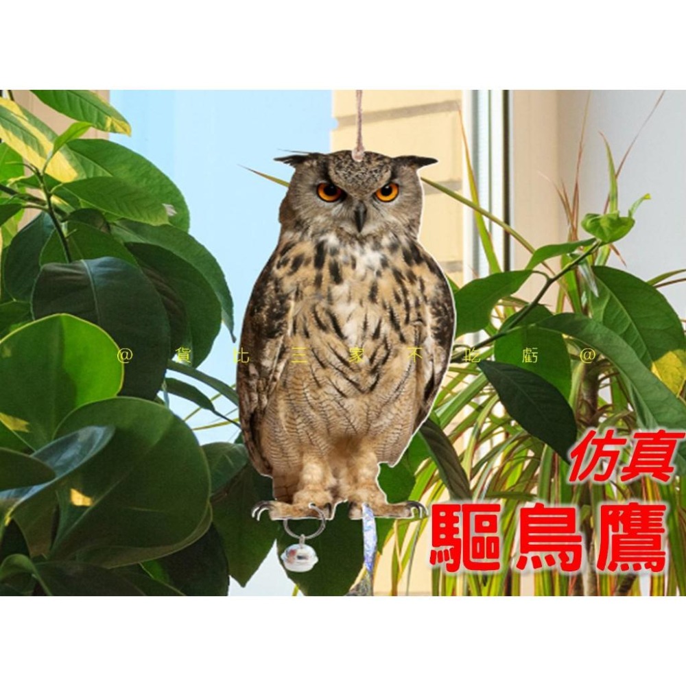 @貨比三家不吃虧@仿真驅鳥鷹 驅鳥反光 立柱老鷹仿真 趕鳥神器 驅鳥彩帶 陽臺驅鳥 菜園防鳥 庭院防鳥 防鳥貓頭鷹-細節圖5