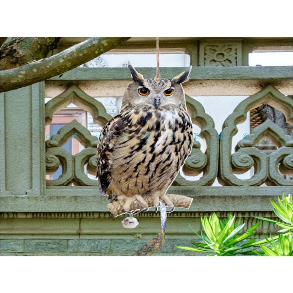 @貨比三家不吃虧@仿真驅鳥鷹 驅鳥反光 立柱老鷹仿真 趕鳥神器 驅鳥彩帶 陽臺驅鳥 菜園防鳥 庭院防鳥 防鳥貓頭鷹-細節圖7