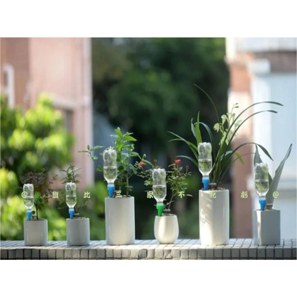 @貨比三家不吃虧@可調節自動滴水器 澆花器 懶人澆花器 創意盆栽滲水器 園藝澆花 澆花神器 園藝用品 家用盆栽澆水-細節圖7