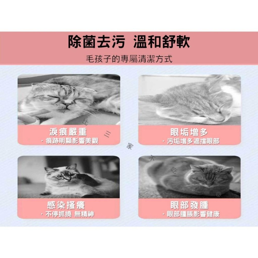 @貨比三家不吃虧@寵物眼部濕紙巾 寵物耳部濕巾 去淚痕 貓咪眼睛濕巾 寵物洗澡濕巾 貓犬共用 去污 寵物牙齒清潔 免洗-細節圖2