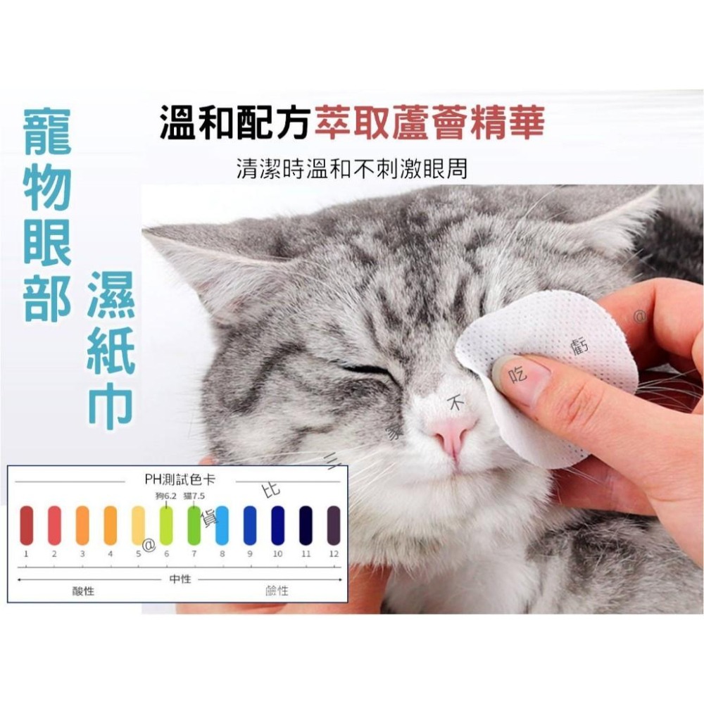 @貨比三家不吃虧@寵物眼部濕紙巾 寵物耳部濕巾 去淚痕 貓咪眼睛濕巾 寵物洗澡濕巾 貓犬共用 去污 寵物牙齒清潔 免洗-細節圖5