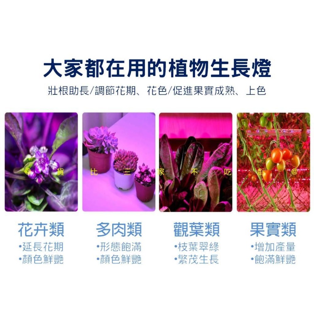 @貨比三家不吃虧@太陽能植物生長燈 植物燈 LED植物燈 防水 花草盆栽植物 育苗灯 粉紅燈 天使環植物燈 溫室植物-細節圖2