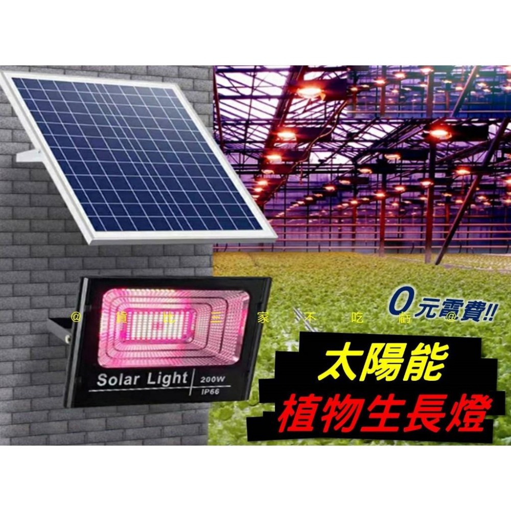 @貨比三家不吃虧@太陽能植物生長燈 植物燈 LED植物燈 防水 花草盆栽植物 育苗灯 粉紅燈 天使環植物燈 溫室植物-細節圖8