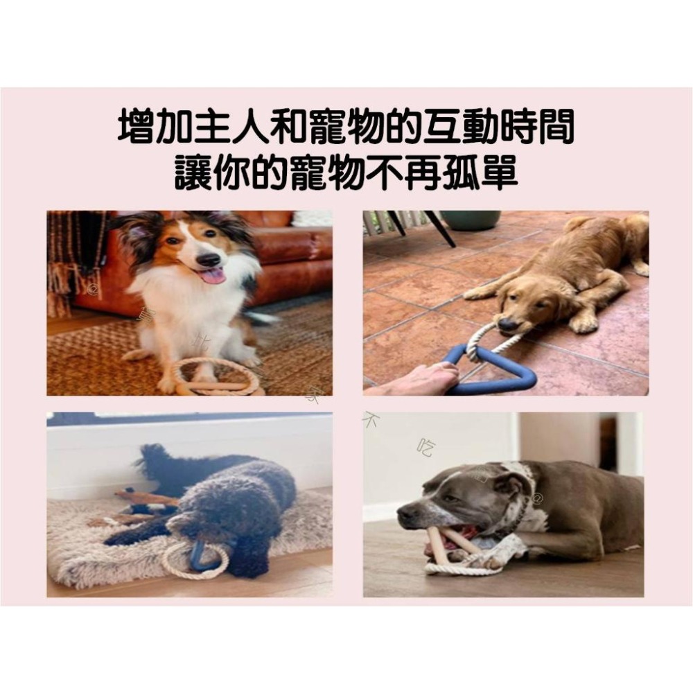 @貨比三家不吃虧@寵物三角拉力環 寵物拉環 拉手玩具 拔河健身 浮水拉環 馬卡龍色 TPR 耐咬 訓練咬合拉力 寵物磨牙-細節圖5
