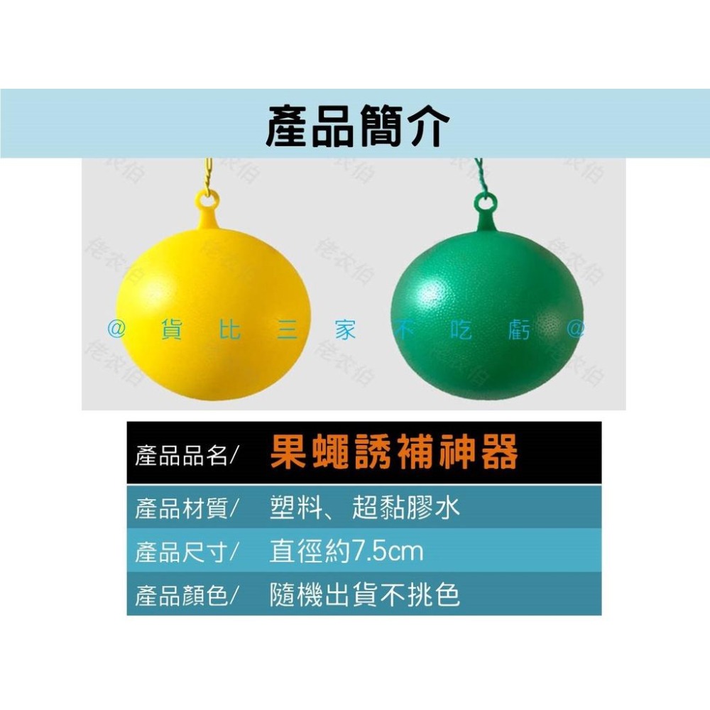 @貨比三家不吃虧@果蠅誘補神器 果實蠅誘引黏球 捕蠅膠 園藝 蒼蠅 蚊蟲 安全無毒庭院 陷阱捕蟲器 抓果蠅 園藝 捕蠅紙-細節圖9