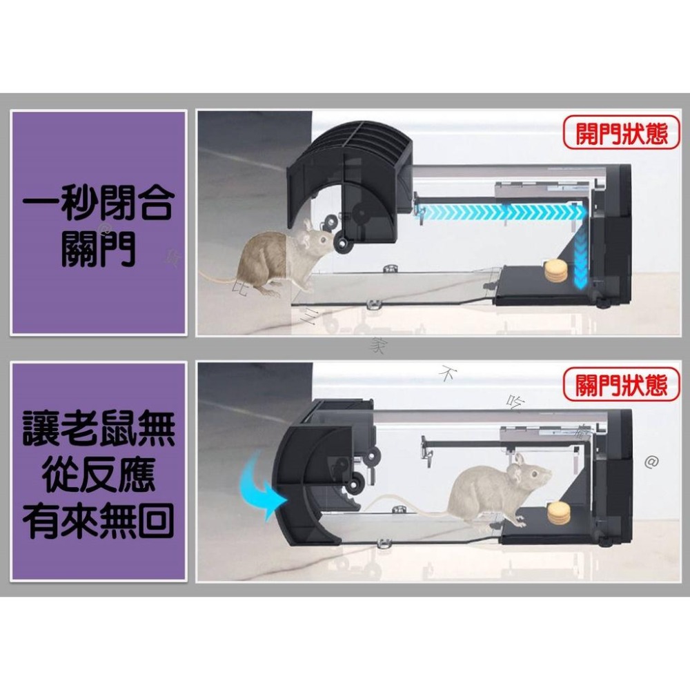 @貨比三家不吃虧@隧道式捕鼠器 鼠洞式捕鼠器 捕獸籠 捕鼠瓶 驅鼠器 老鼠籠 自動鎖捕鼠器 連續捕鼠器 抓鼠籠 補鼠神-細節圖3