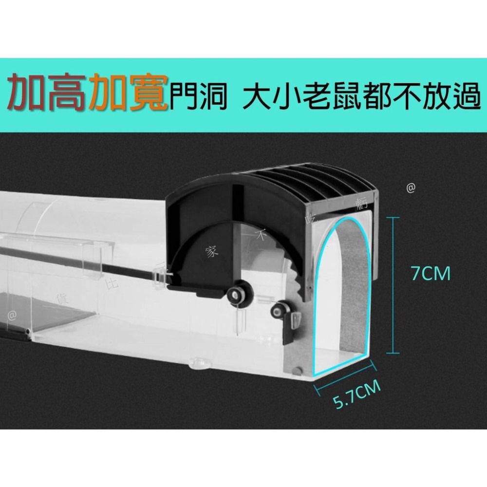 @貨比三家不吃虧@隧道式捕鼠器 鼠洞式捕鼠器 捕獸籠 捕鼠瓶 驅鼠器 老鼠籠 自動鎖捕鼠器 連續捕鼠器 抓鼠籠 補鼠神-細節圖4
