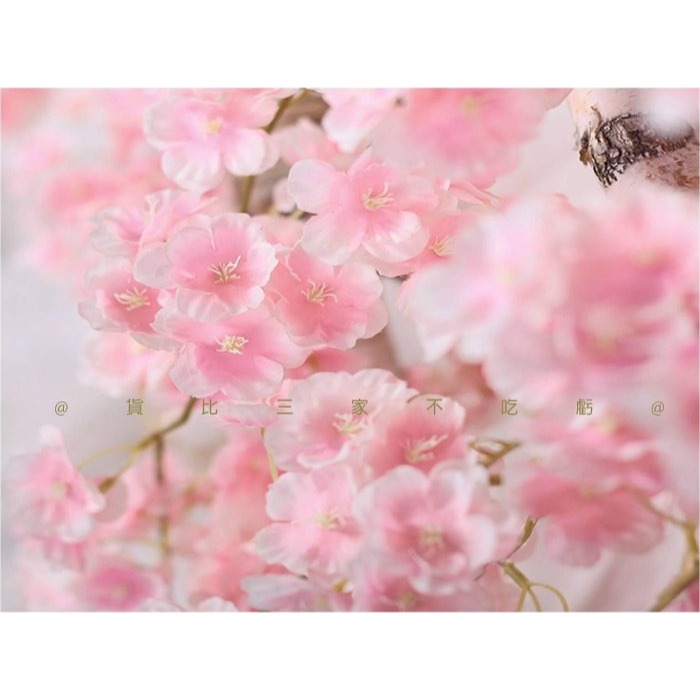 @貨比三家不吃虧@仿真櫻花花藤 櫻花藤條 天花板藤條 假花佈景 酒店裝飾花藤 塑膠花 氣氛燈 櫻花季 舞台 居家裝飾-細節圖7