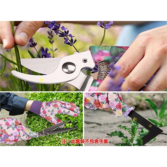 @貨比三家不吃虧@園藝種植工具套裝 園藝工具 種花工具 多肉盆栽 鐵剷 挖土耙 除草 野營工具 多肉植物工具 換盆神器-細節圖6