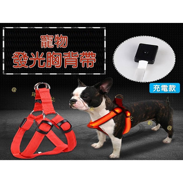 @貨比三家不吃虧@寵物發光胸背帶 LED發光寵物胸背帶 夜光狗背帶 牽引繩 寵物外出用品 可調節 牽繩 工型 狗項圈-細節圖4