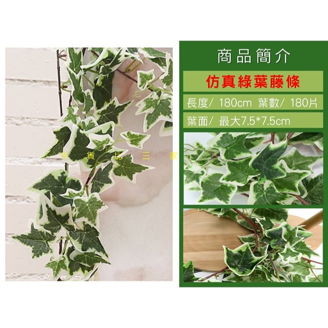 @貨比三家不吃虧@仿真綠葉藤條 仿真植物葉 拍照背景 插花 壁掛 婚禮裝飾 仿真葉子 綠色家居 藤蔓懸掛 塑膠花 植物牆-細節圖6