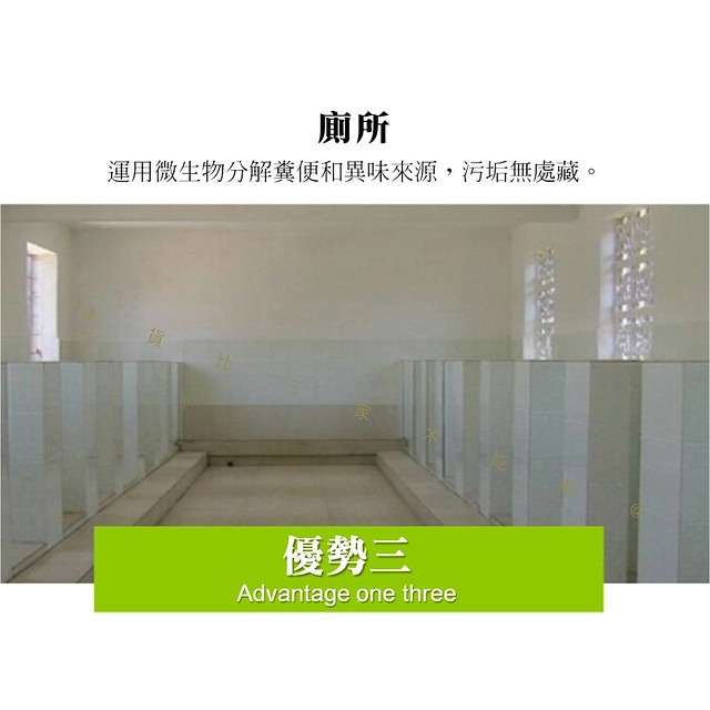 @貨比三家不吃虧@生物化糞劑 生物化糞池化糞劑 廁所衛生間除臭劑 馬桶化糞池生物分解劑 疏通 生物發酵 清潔大掃除-細節圖5