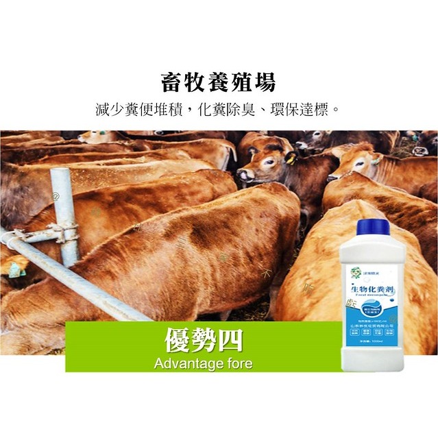 @貨比三家不吃虧@生物化糞劑 生物化糞池化糞劑 廁所衛生間除臭劑 馬桶化糞池生物分解劑 疏通 生物發酵 清潔大掃除-細節圖6