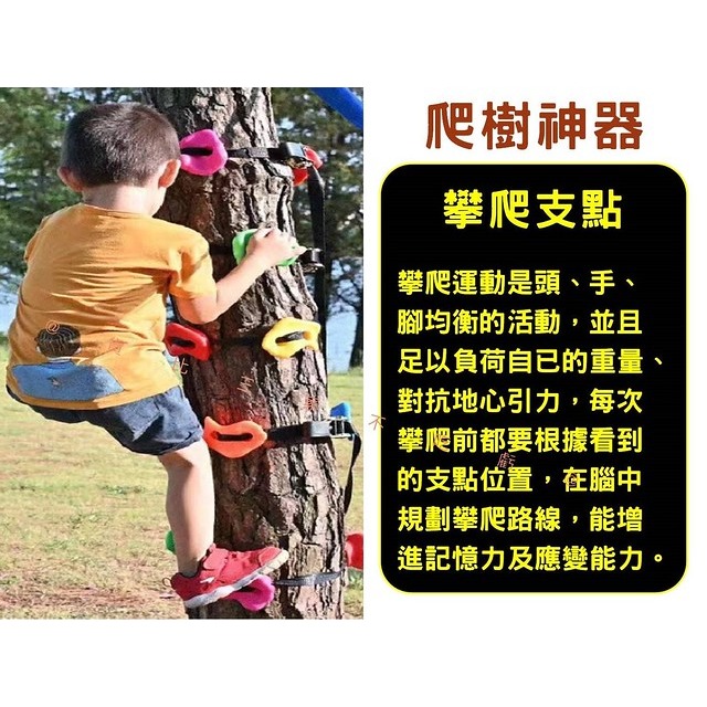 @貨比三家不吃虧@爬樹神器 兒童攀爬設備 岩石 踩攀爬 尼龍織帶 攀爬支點 幼兒園戶外運動 攀爬石頭 樹脂岩點 拉緊器-細節圖2