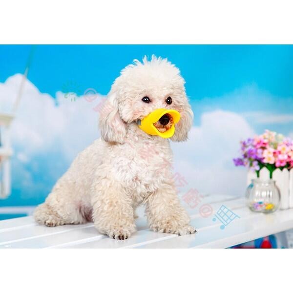 @貨比三家不吃虧@ 寵物鴨子嘴 狗彩色口罩 嘴套 防誤食 止吠器 防咬 狗嘴套 鴨嘴套 狗盆 寵物飲水器 狗毛梳 拾便器-細節圖5