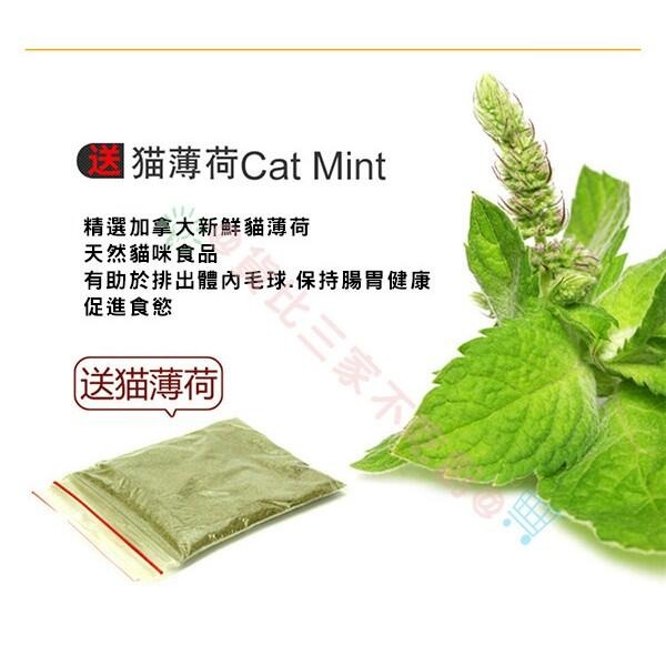 @貨比三家不吃虧@ Purrfect arch《拱形自梳門/蹭毛刷/蹭毛器》讓貓自己磨蹭、拱型貓貓毛刷 貓跳台 逗貓棒-細節圖7