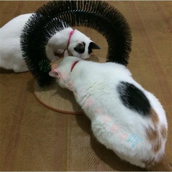 @貨比三家不吃虧@ Purrfect arch《拱形自梳門/蹭毛刷/蹭毛器》讓貓自己磨蹭、拱型貓貓毛刷 貓跳台 逗貓棒-細節圖8