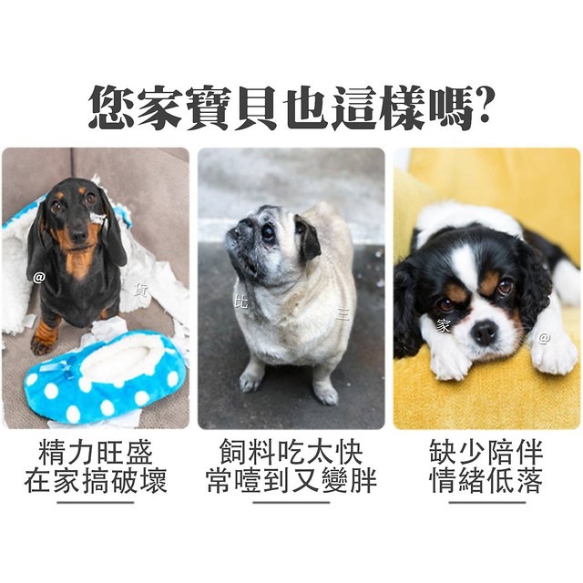 @貨比三家不吃虧@ 向日葵嗅聞墊 紓壓緩解焦慮 寵物訓練玩具 嗅聞訓練 訓犬找食 聞嗅毯墊子 藏食訓練 寵物用品 嗅聞-細節圖2