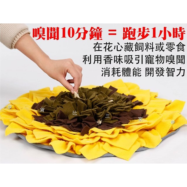 @貨比三家不吃虧@ 向日葵嗅聞墊 紓壓緩解焦慮 寵物訓練玩具 嗅聞訓練 訓犬找食 聞嗅毯墊子 藏食訓練 寵物用品 嗅聞-細節圖4