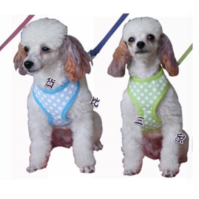 寵物背帶 背心背帶 寵物背心 狗背帶 狗背心 狗鍊 小狗牵繩 寵物 背套 胸背带 比熊狗 狗鍊子 貓背帶-細節圖8