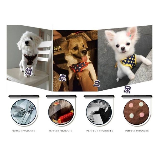 寵物背帶 背心背帶 寵物背心 狗背帶 狗背心 狗鍊 小狗牵繩 寵物 背套 胸背带 比熊狗 狗鍊子 貓背帶-細節圖9