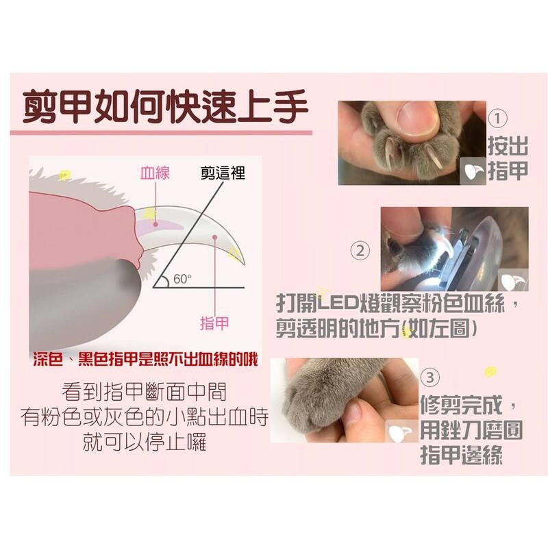 @貨比三家不吃虧@ LED寵物指甲剪 附銼刀電池 寵物清潔美容工具 安全剪刀 修甲磨甲鉗 防出血 新手必備 半月型不銹鋼-細節圖6