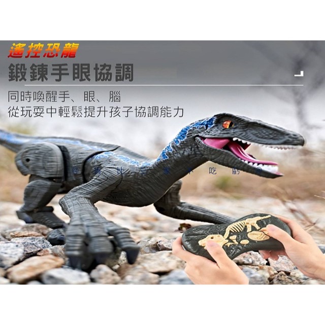 @貨比三家不吃虧@遙控恐龍 電動會走會叫 仿真遙控恐龍 男孩玩具 機械迅猛龍 遙控侏羅紀暴走迅猛龍 童心童趣 恐龍聲-細節圖2