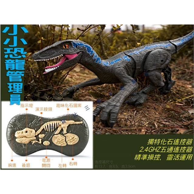 @貨比三家不吃虧@遙控恐龍 電動會走會叫 仿真遙控恐龍 男孩玩具 機械迅猛龍 遙控侏羅紀暴走迅猛龍 童心童趣 恐龍聲-細節圖8