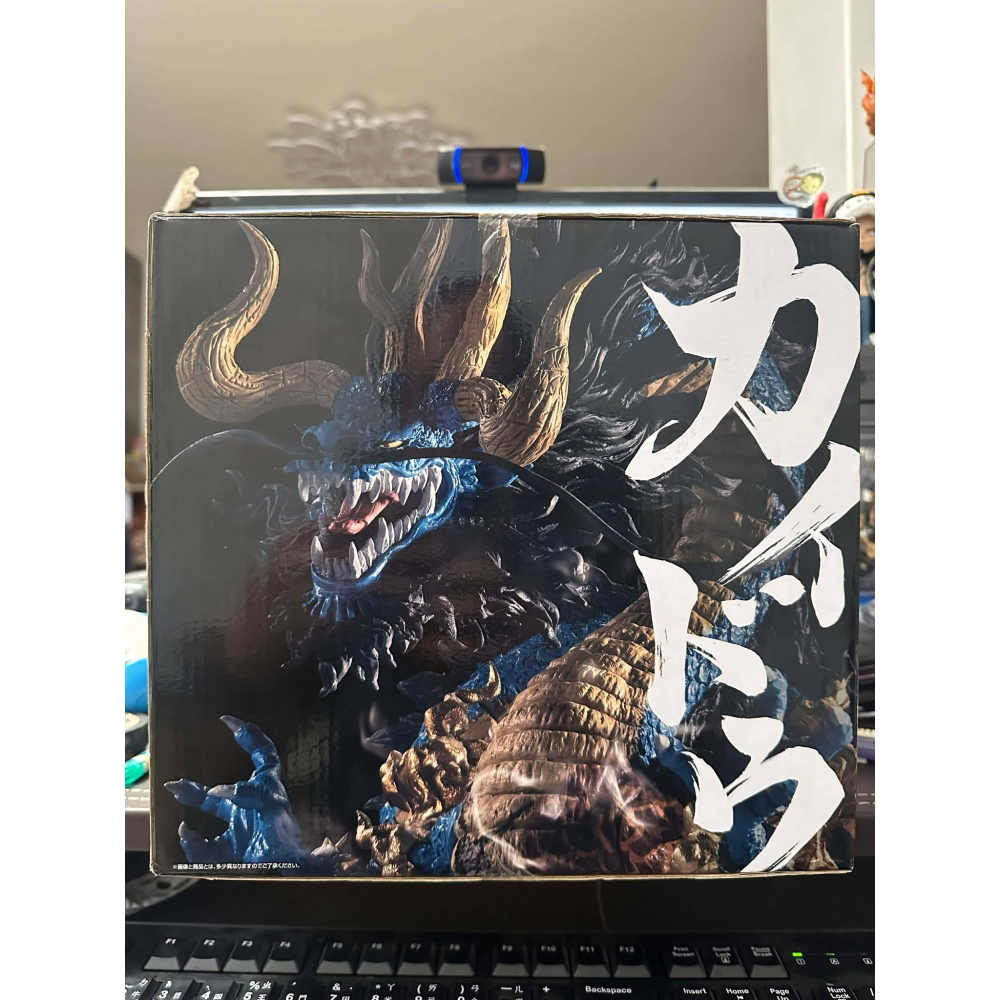 代理 A賞 一番賞 航海王 EX 惡魔的的寄宿者們 凱多龍 凱多 魂豪 海道 魂豪氏像 模型 公仔 龍 全新 未拆 萬代-細節圖6