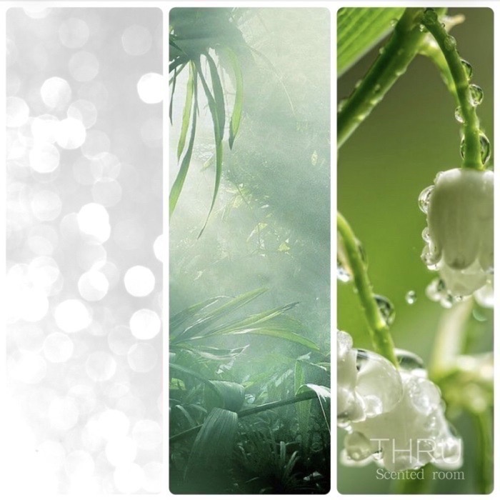 Muguet 鈴蘭 Lily of the Valley-細節圖2
