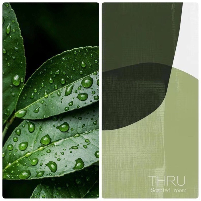 Ashitaba 明日葉-細節圖2