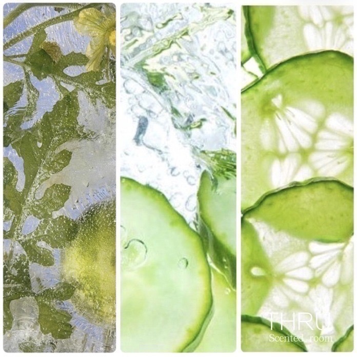 Cucumber 小黃瓜-細節圖2