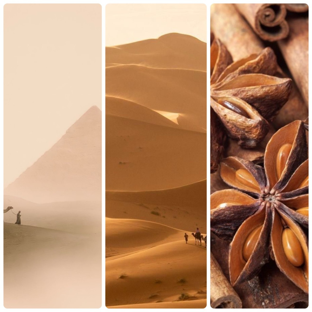 Benzoinum 安息香-細節圖4