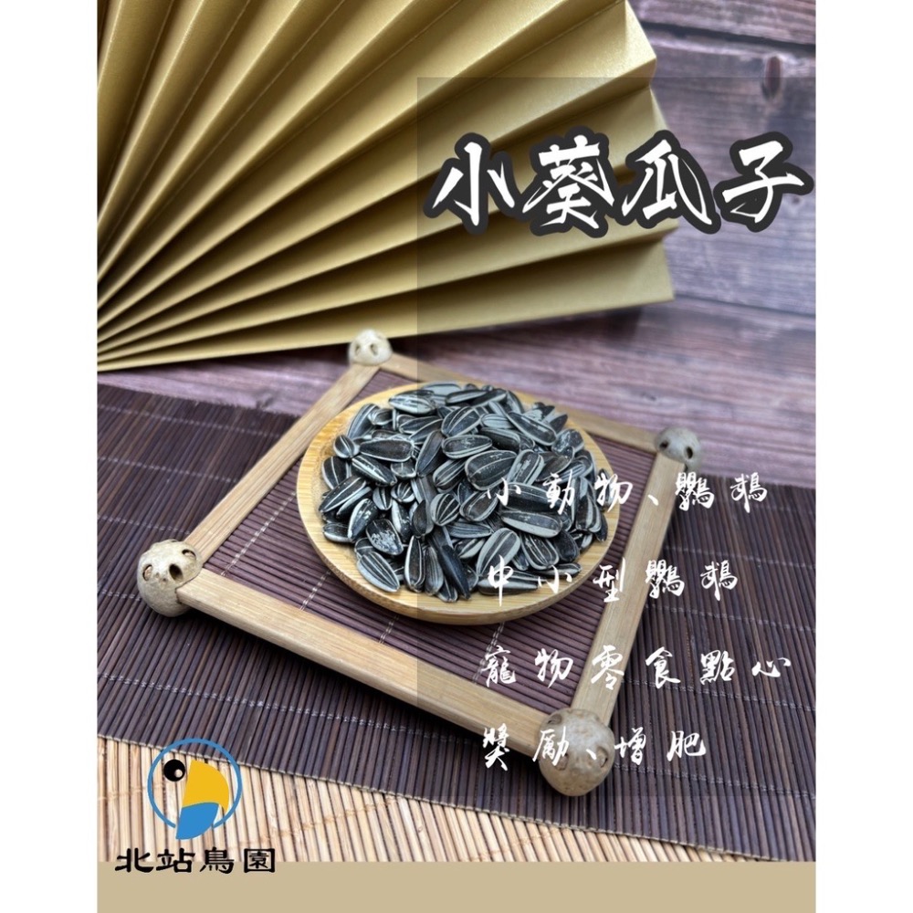 北站鳥園-小葵瓜子 / 分裝飼料-細節圖2