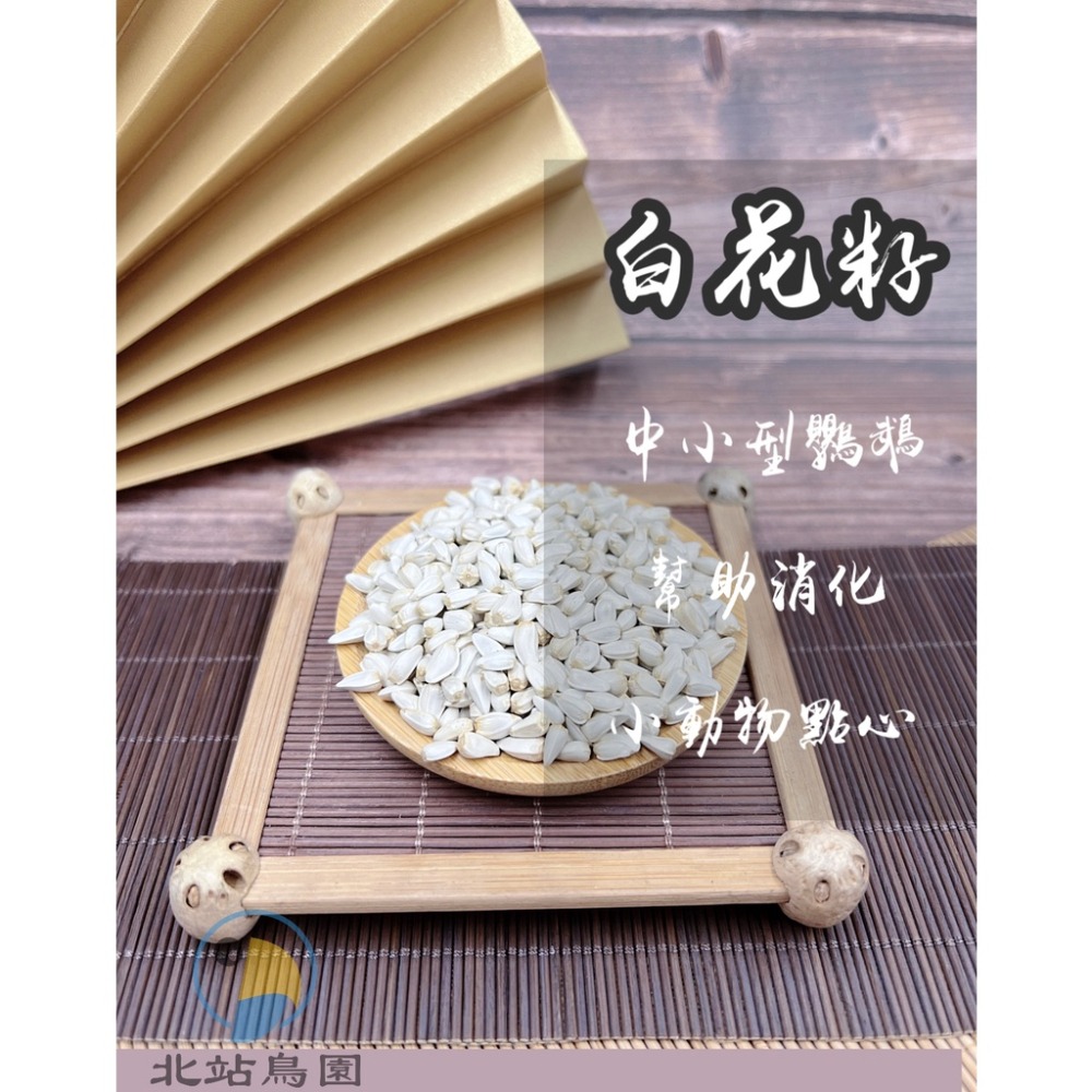 <北站鳥園>白花籽 / 分裝飼料 / 寵物鳥、中小型鸚鵡、倉鼠、松鼠、蜜袋鼯 / 小動物穀物、點心、零食、零嘴-細節圖2